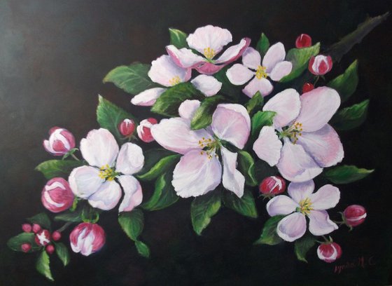 APPLE BLOSSOM