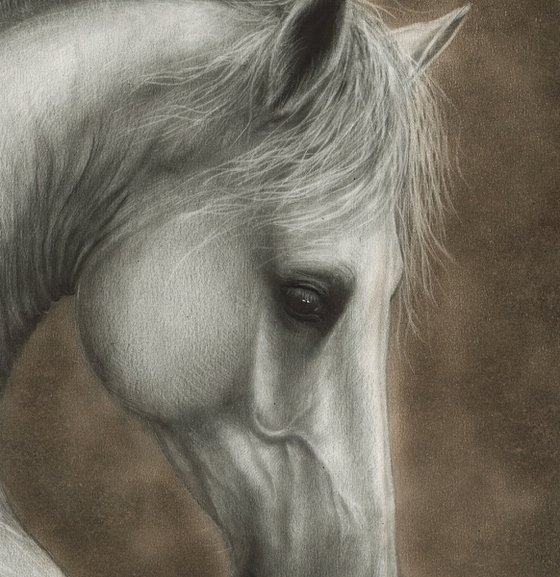 Silent Elegance