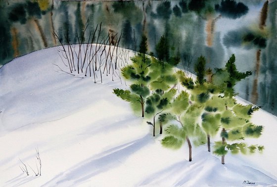 Winter forest