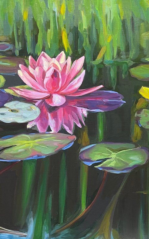 Colorful pond Water lilies 72.7 cm/50 cm by Guzel Min