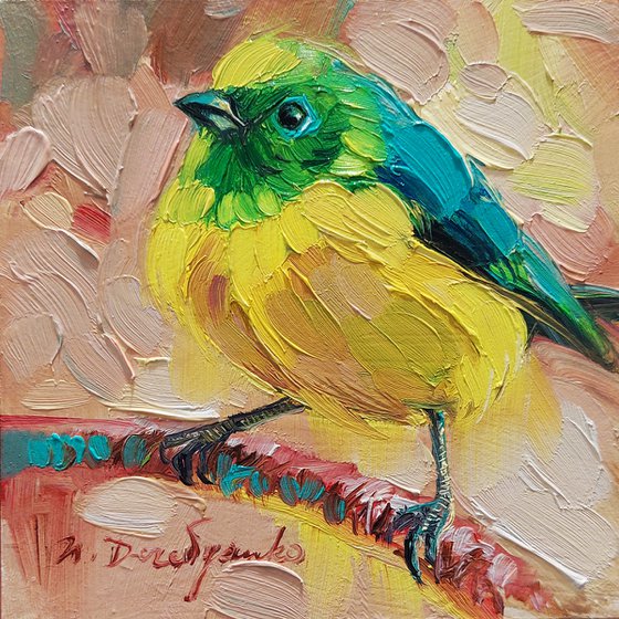 Blue chlorophonia bird painting original 4x4, Framed oil painting yellow bird on branch, Small painting of birds gift for bird lovers