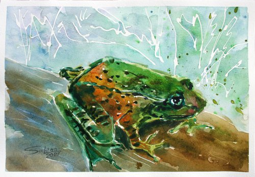 Frog 02 /  ORIGINAL PAINTING by Salana Art Gallery