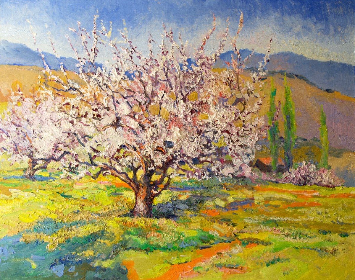 Blooming Apricot Tree by Suren Nersisyan