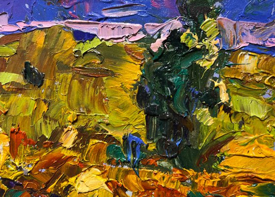 The edge of a plowed field
