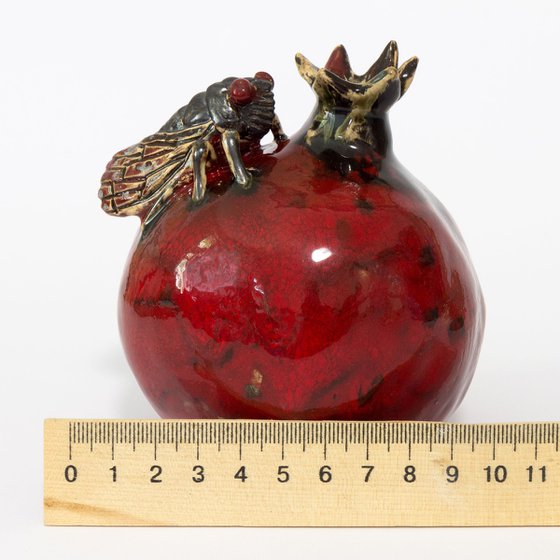 Cicada and pomegranate