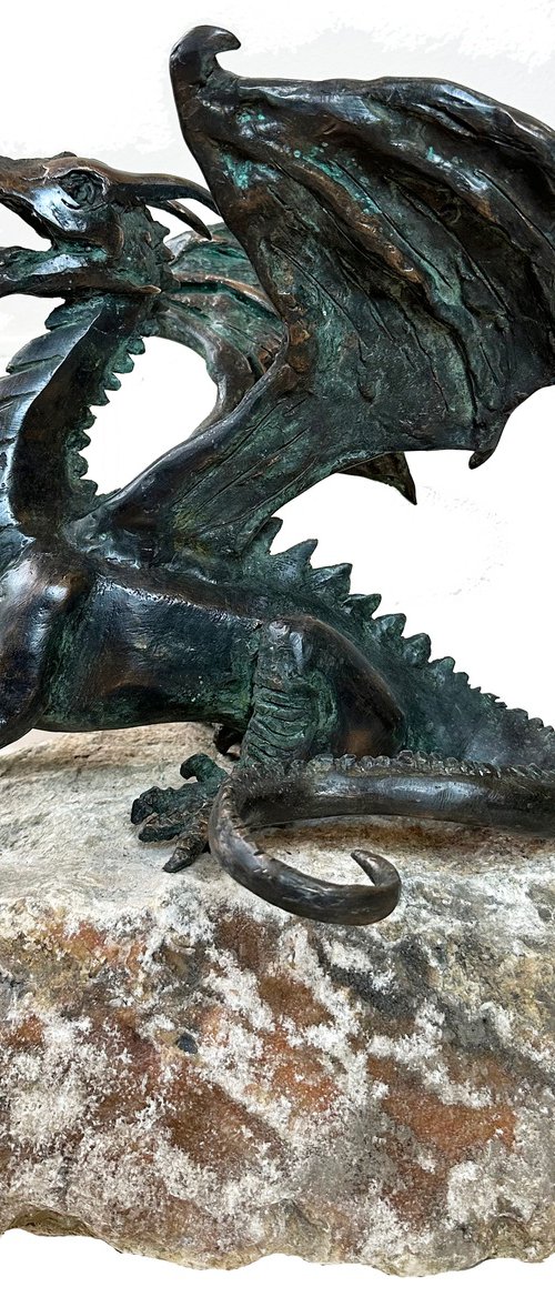 Dragon by Toth Kristof