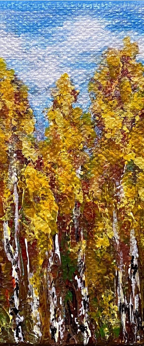 Birch trees by Olga Kurbanova