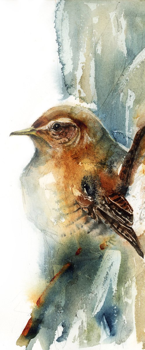 Wren, watercolor of birds and wildlife by Karolina Kijak