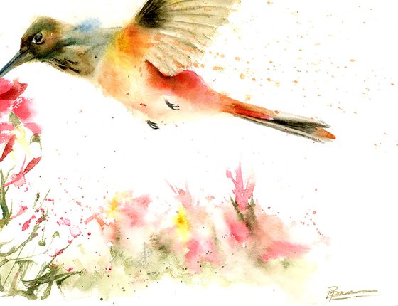 Hummingbird