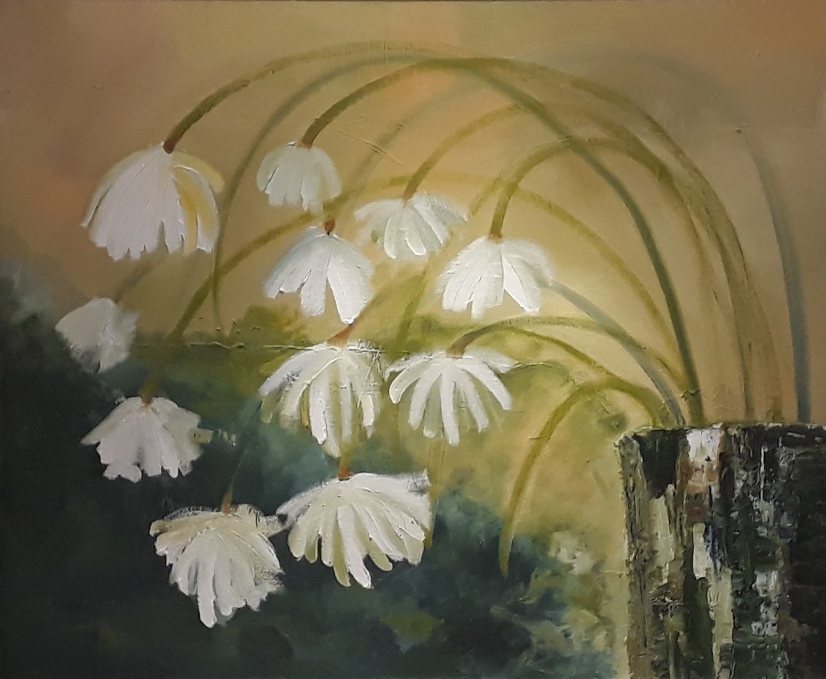 White flowers in green pot by Jane Elsworth