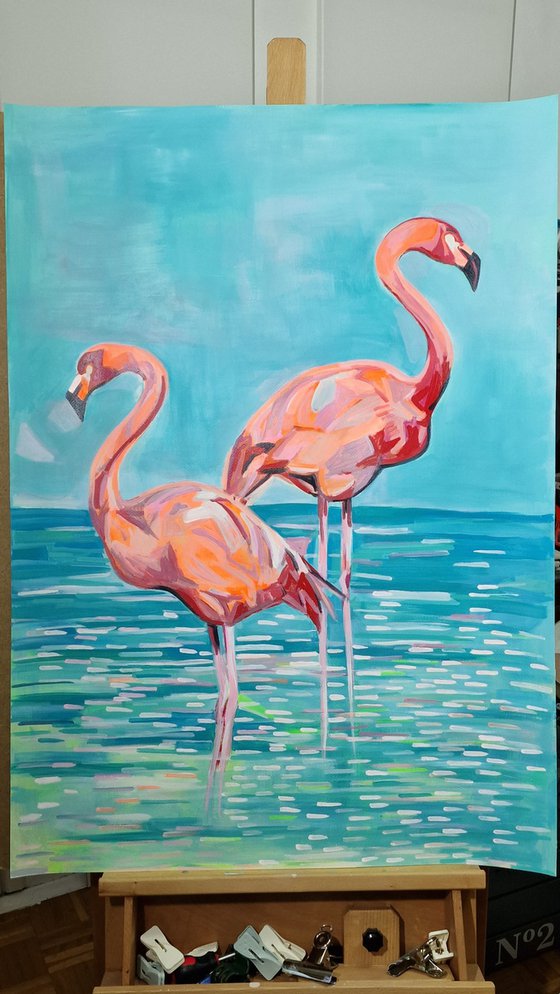 Flamingos