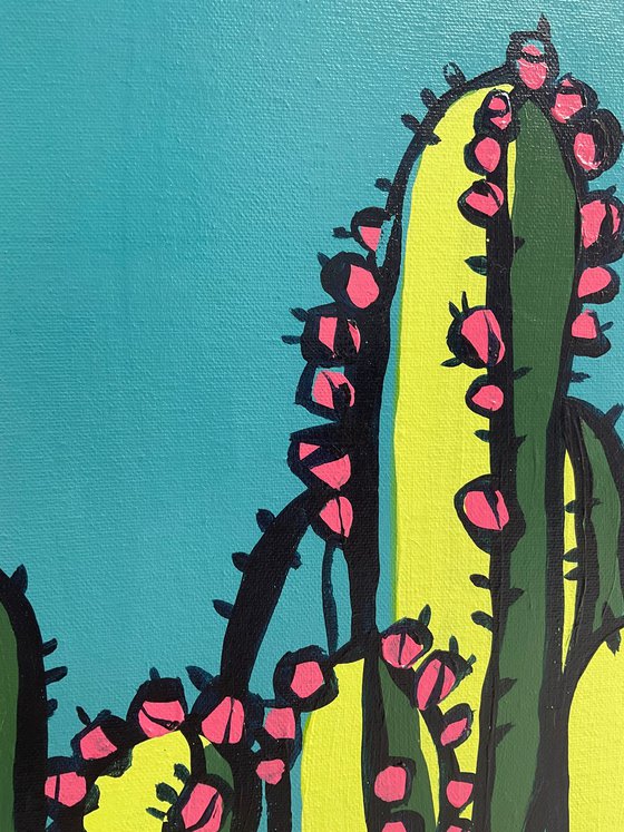 Cactus on blue