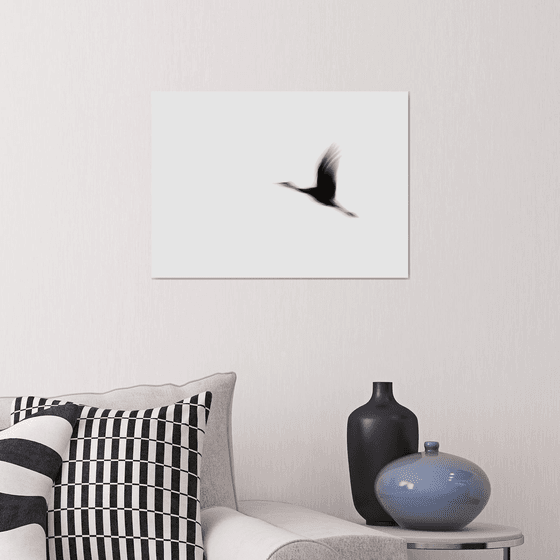 Crane(s) I | Limited Edition Fine Art Print 1 of 10 | 45 x 30 cm