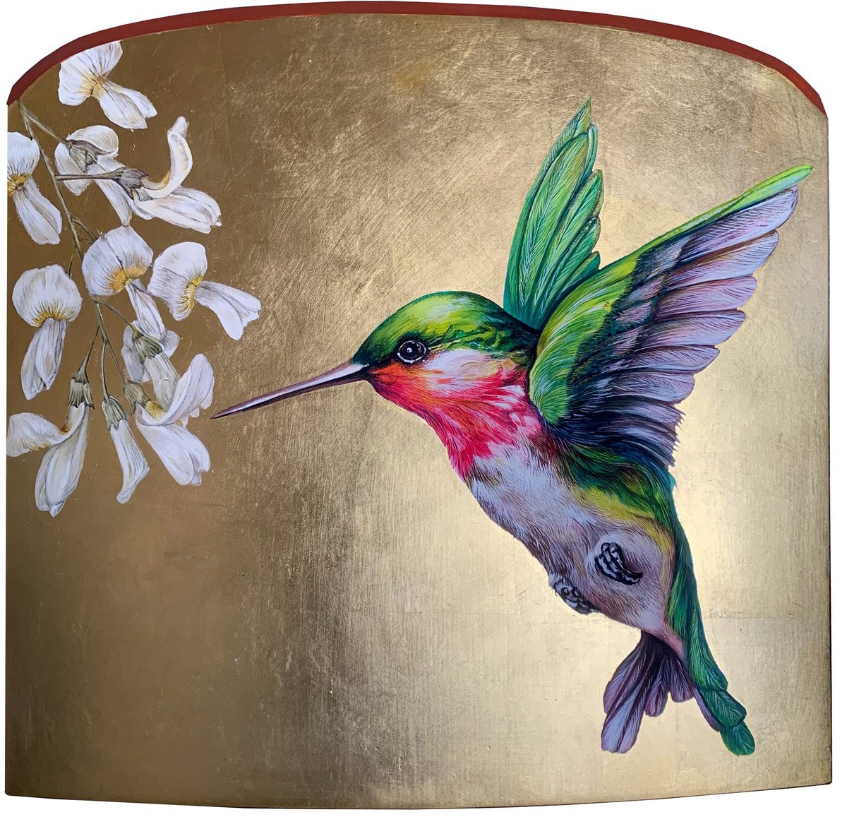 colibr by Gabriella Tundo