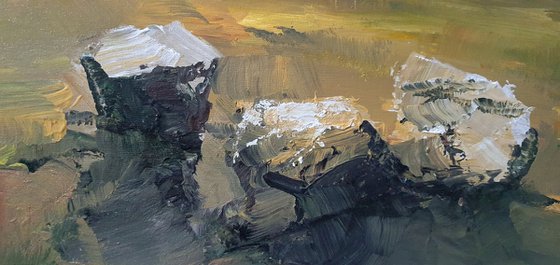 Valley of Giant Rocks