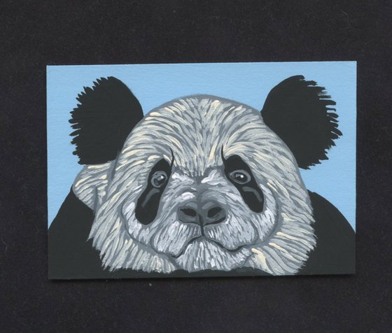 ACEO ATC Original Miniature Painting Panda Bear Wildlife Art-Carla Smale