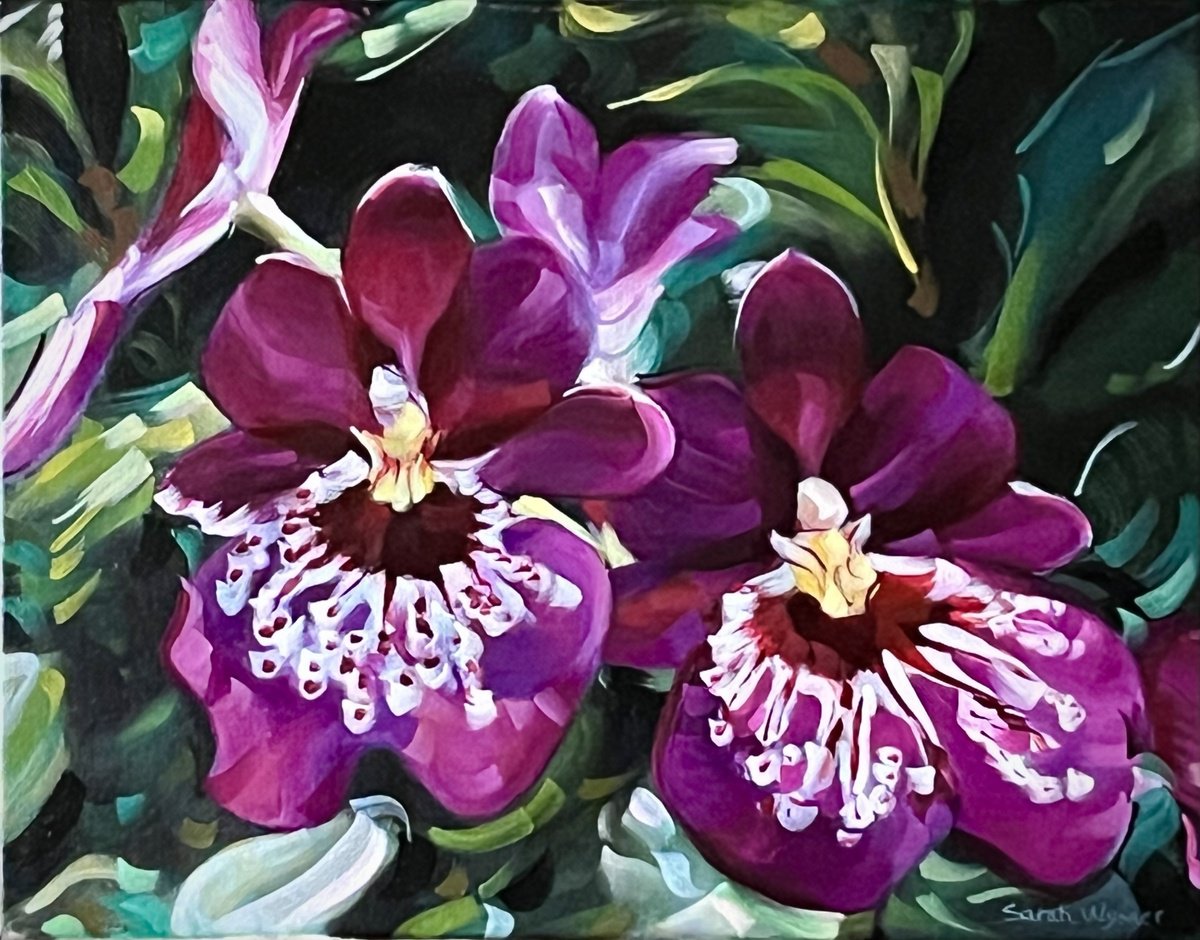 Orchids by Sarah Wymer