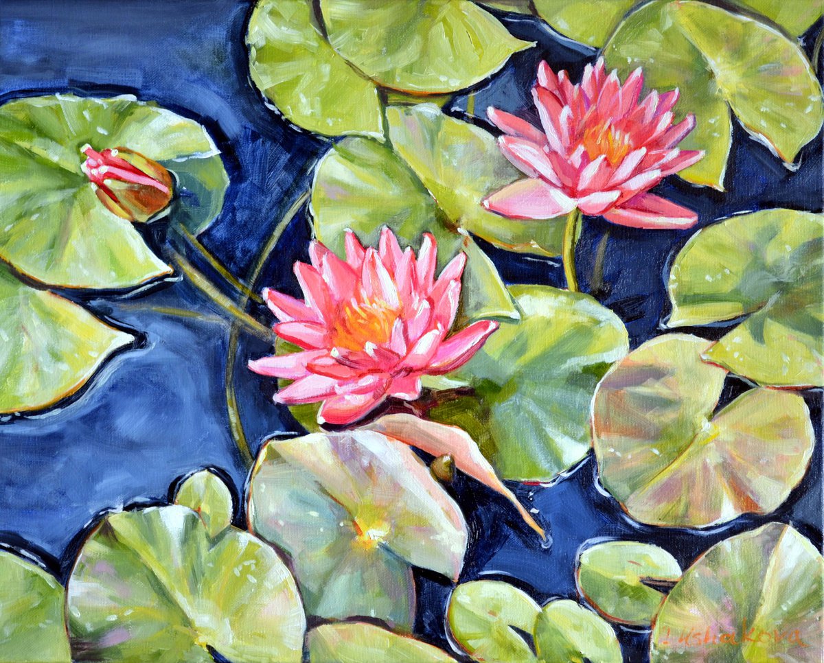 Pink Waterlilies by Irina Ushakova