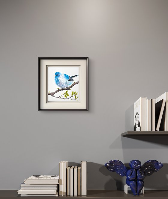 Blue-gray Gnatcatcher Bird