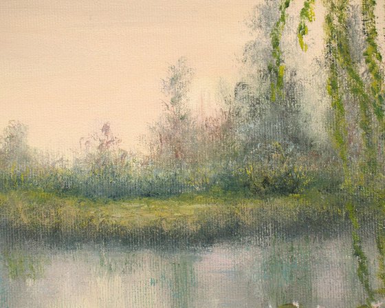 Lily pond