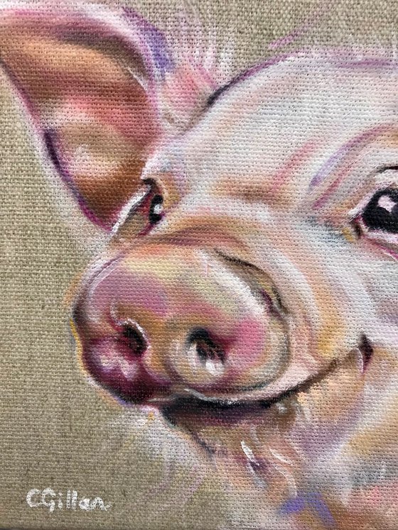 Posy Piglet Original Oil Painting Oil on stretched linen canvas
