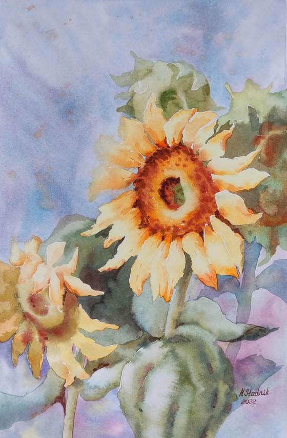Ukrainian hope. Sunflower