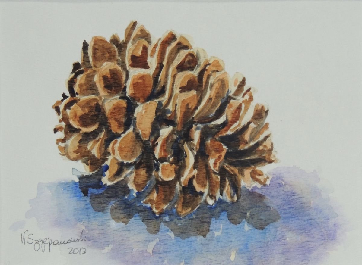 Pine cone by Krystyna Szczepanowski