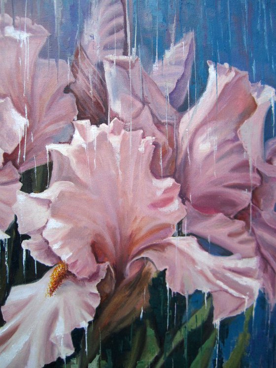 "Irises in the rain" . flowers