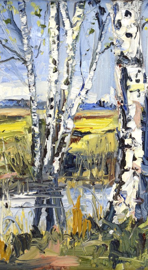 Birch stories by Sonja Brussen