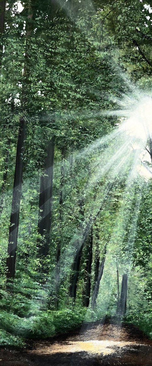 Nature's Path by Victoria Obolensky