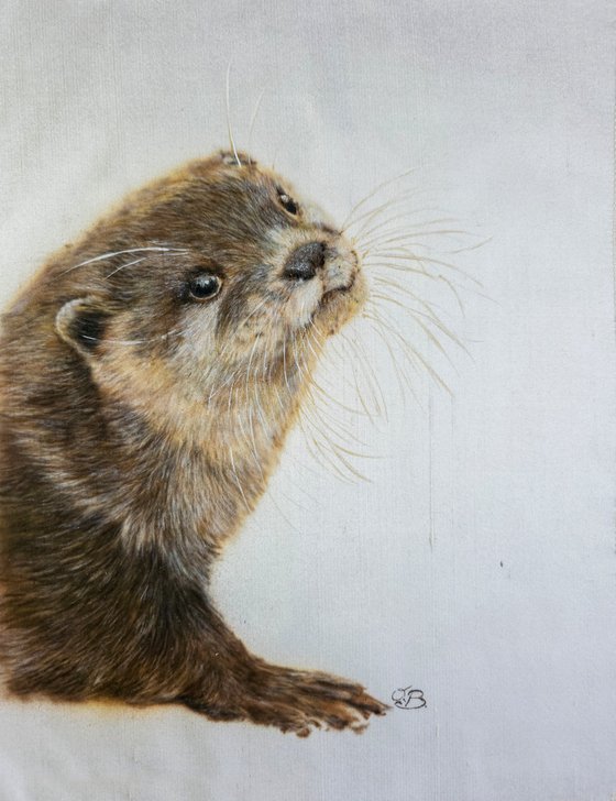 Otter Portrait