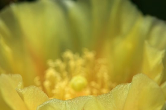 Fragility