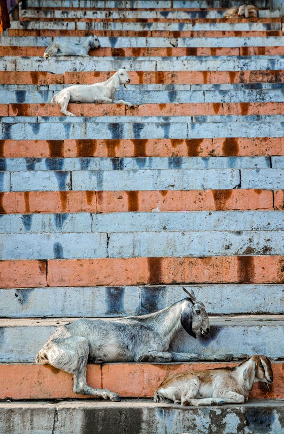 Varanasi #6