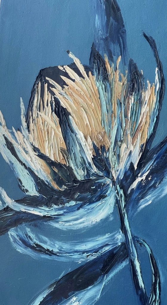 Protea