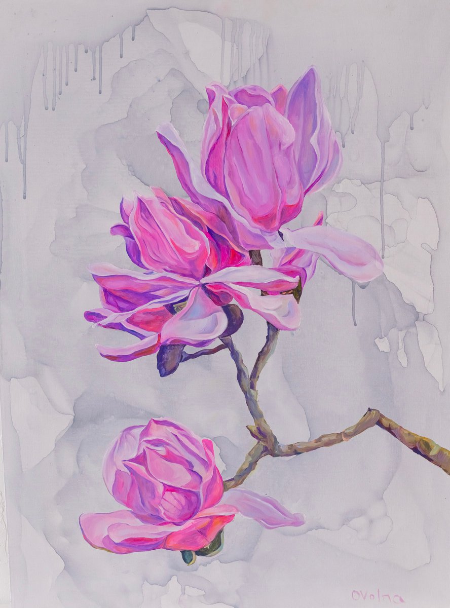 Magnolias by Olga Volna