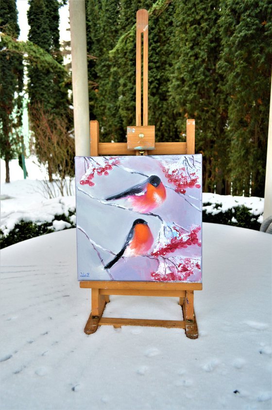 Bullfinches in winter