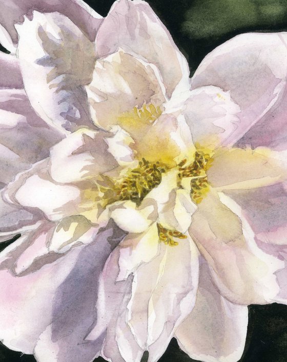 soft in pink watercolor floral