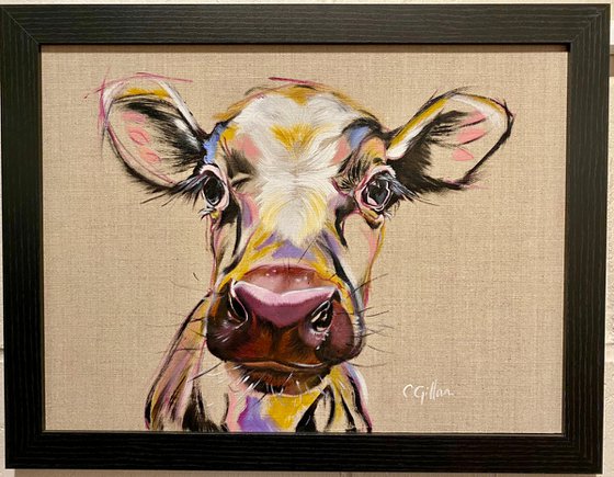 Hugo - Calf Cow Heifer Steer original oil painting on linen on board 12x16"