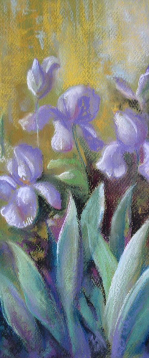 Irises - floral art pastel by Elena Oleniuc