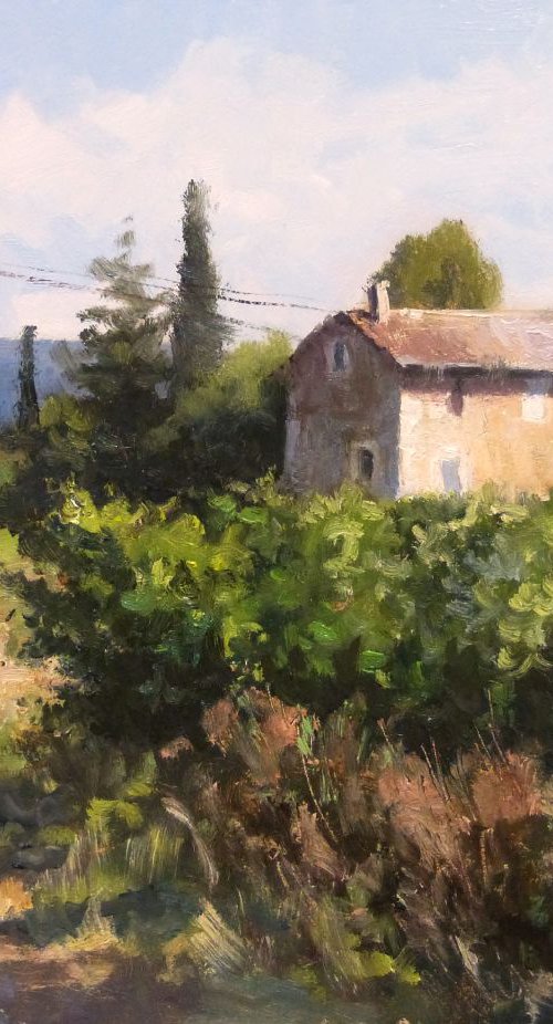 Vignes près de Vaugines by Pascal Giroud