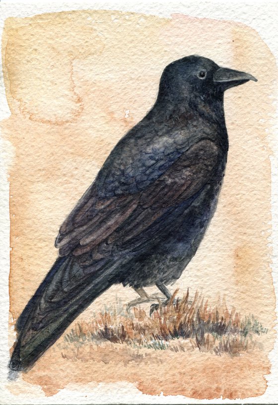 Watercolor raven painting