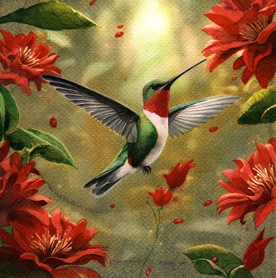 Bird CCXLXV - Hummingbird