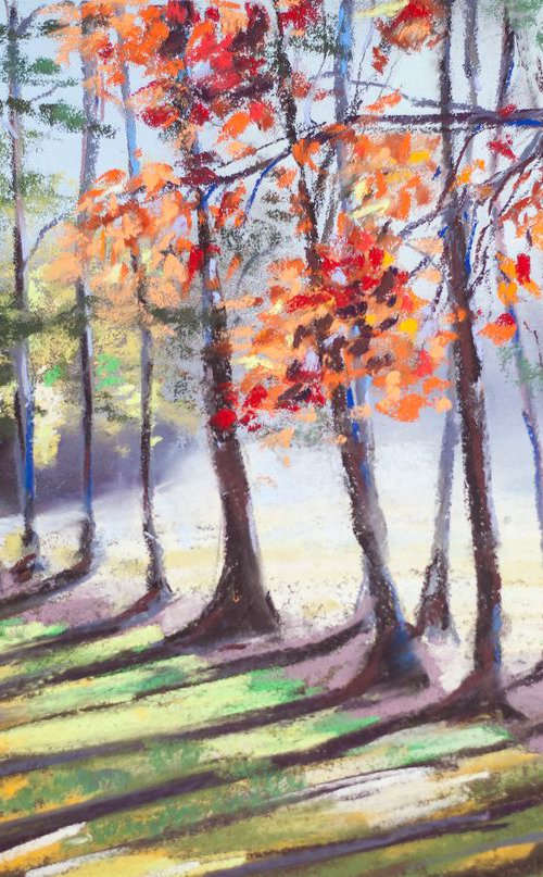 Fall in forest by Sasha Romm