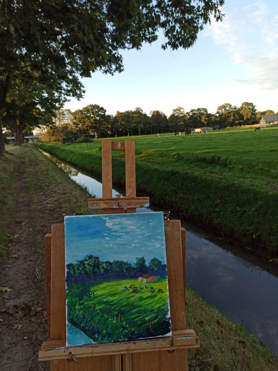 Cows at meadow in Coevorden