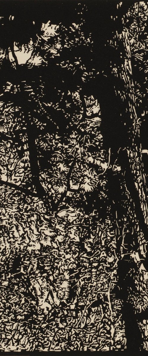 EAST OF SANTA FE/PECOS WILDERNESS by David Conn