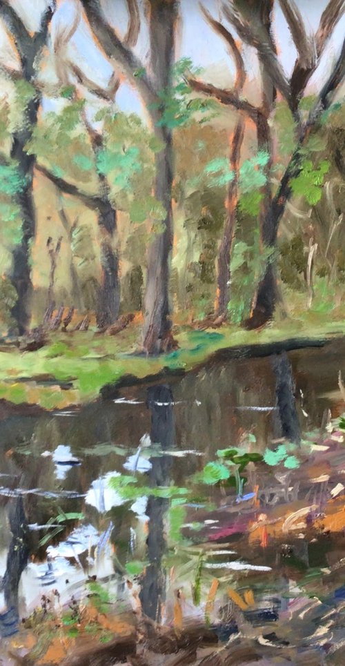 Stream in the forest by Julian Lovegrove Art
