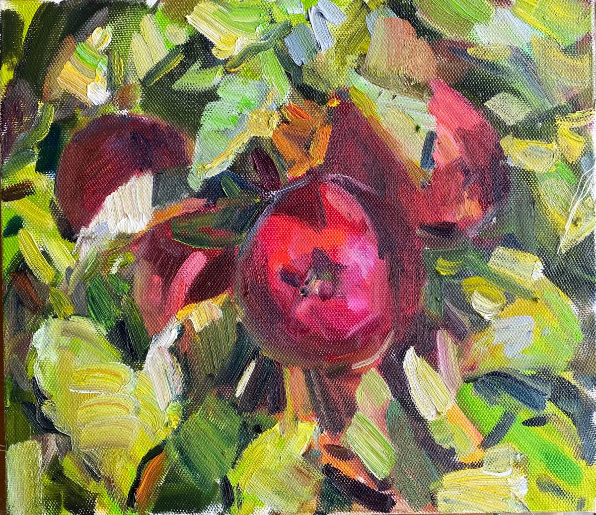 Apples on the branch 35х40 cm| oil painting on canvas flowers by Nataliia Nosyk