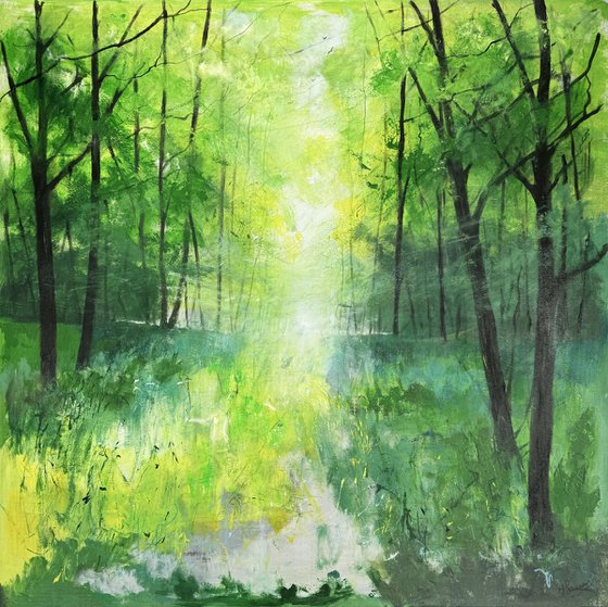 Misty Spring Woodland