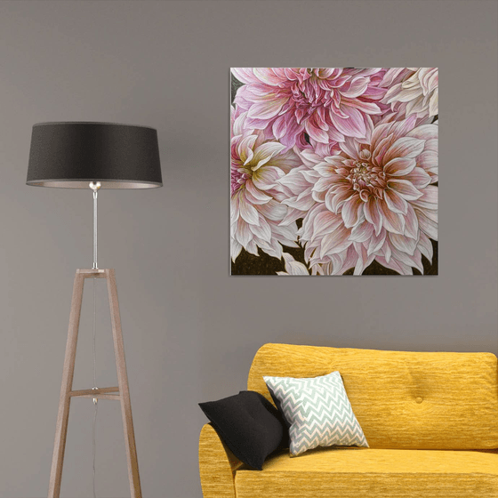 Soft Symphony of Dahlias
