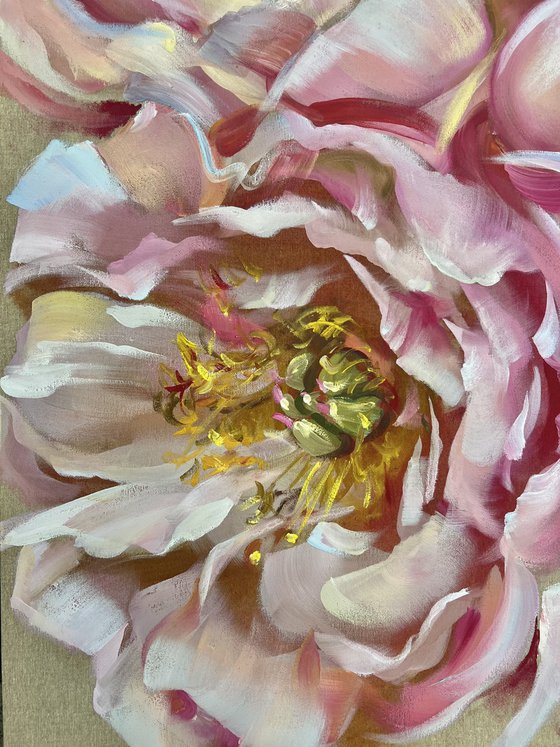 Sunny peonies